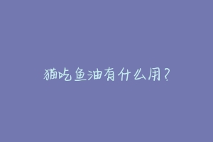 猫吃鱼油有什么用?