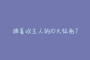 猫喜欢主人的10大征兆?