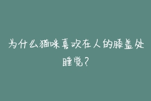 为什么猫咪喜欢在人的膝盖处睡觉?