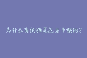 为什么有的猫尾巴是半截的?
