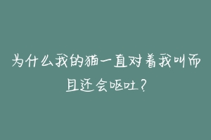为什么我的猫一直对着我叫而且还会呕吐?