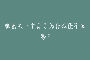 猫出去一个月了为什么还不回家?