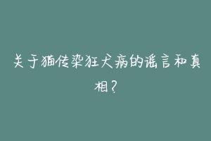 关于猫传染狂犬病的谣言和真相?