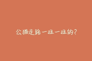 公猫走路一扭一扭的?