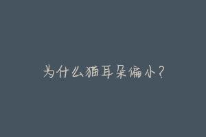 为什么猫耳朵偏小?