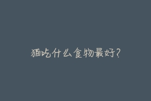 猫吃什么食物最好?
