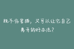 既不伤害猫,又可以让它自己离开的好办法?