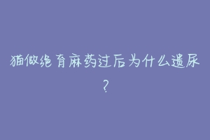 猫做绝育麻药过后为什么遗尿?