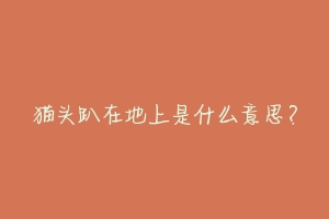 猫头趴在地上是什么意思?