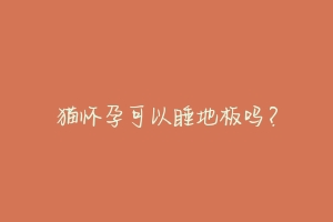 猫怀孕可以睡地板吗?