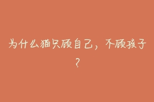 为什么猫只顾自己,不顾孩子?