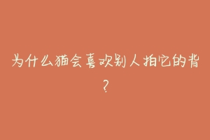 为什么猫会喜欢别人拍它的背?