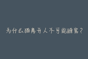 为什么猫离开人不可能睡窝?