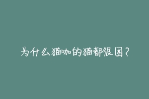 为什么猫咖的猫都很困?
