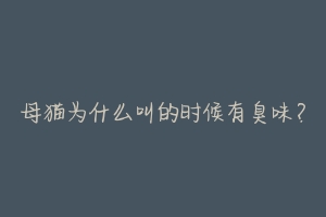 母猫为什么叫的时候有臭味?