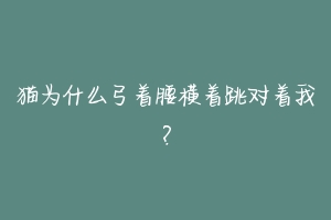 猫为什么弓着腰横着跳对着我?