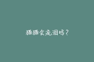 猫猫会流泪吗?
