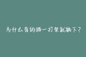 为什么有的猫一打架就躺下?