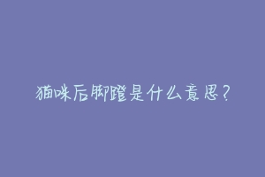猫咪后脚蹬是什么意思?