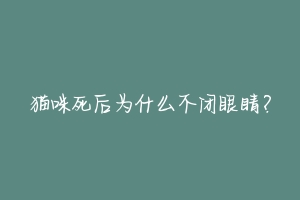 猫咪死后为什么不闭眼睛?