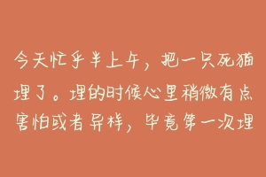 今天忙乎半上午,把一只死猫埋了。埋的时候心里稍微有点害怕或者异样,毕竟第一次埋死物?