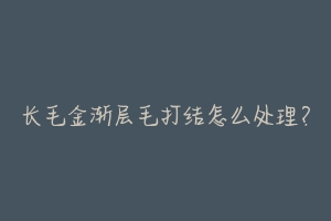 长毛金渐层毛打结怎么处理?