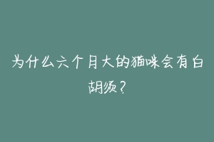 为什么六个月大的猫咪会有白胡须?