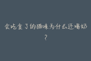 会吃食了的猫咪为什么还喝奶?