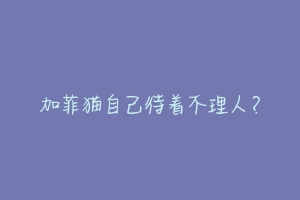 加菲猫自己待着不理人?
