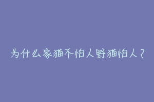 为什么家猫不怕人野猫怕人?