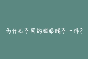 为什么不同的猫眼睛不一样？
