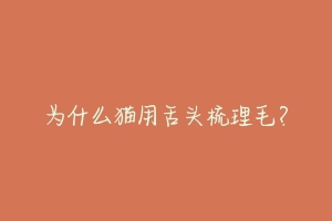 为什么猫用舌头梳理毛?