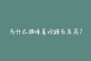 为什么猫咪喜欢睡在床尾?