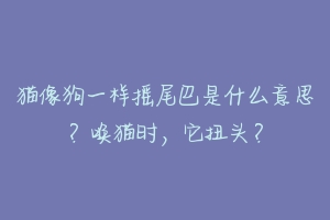猫像狗一样摇尾巴是什么意思?唤猫时,它扭头?