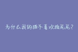 为什么我的猫不喜欢拍屁屁？