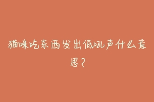 猫咪吃东西发出低吼声什么意思?