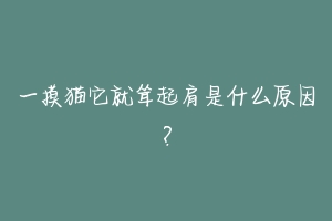 一摸猫它就耸起肩是什么原因?