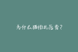 为什么猫怕扎后背?