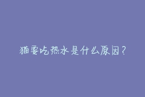 猫要吃热水是什么原因?