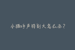 小猫呼声特别大怎么办?