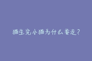 猫生完小猫为什么要走?