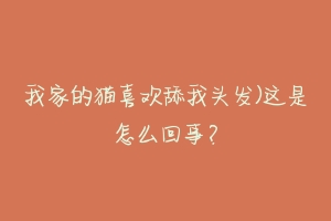 我家的猫喜欢舔我头发)这是怎么回事?