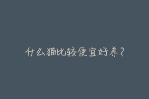 什么猫比较便宜好养?