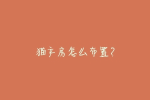 猫产房怎么布置?