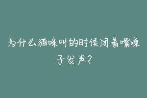 为什么猫咪叫的时候闭着嘴嗓子发声?