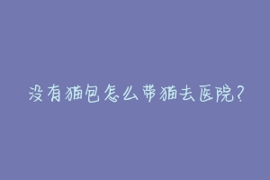 没有猫包怎么带猫去医院?