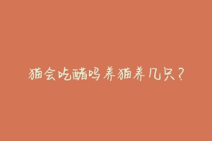 猫会吃醋吗养猫养几只?