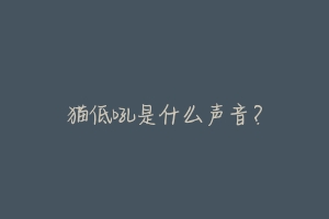 猫低吼是什么声音?
