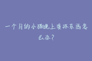 一个月的小猫晚上爱抓东西怎么办?