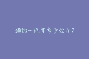 猫的一巴掌多少公斤？